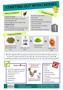 Fact Sheet